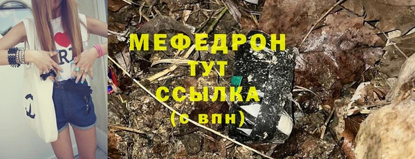 молекула духа Протвино