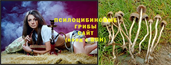 молекула духа Протвино