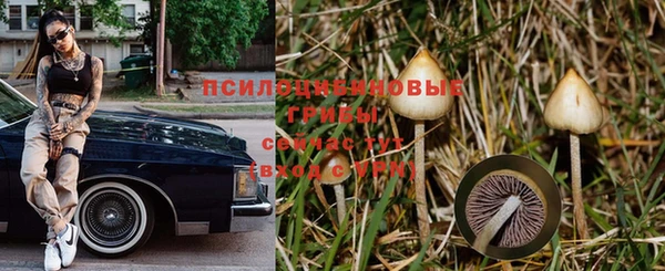 дмт Приозерск