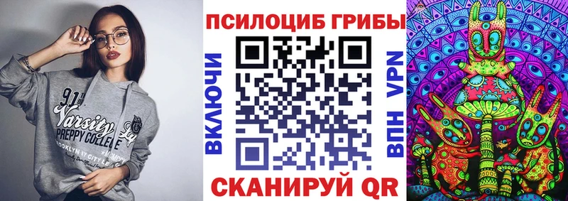 Псилоцибиновые грибы Psilocybine cubensis  цены   Тосно 