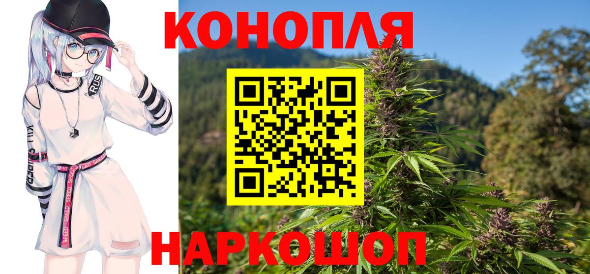 МАРИХУАНА конопля  Конопля Amnesia  Тосно  Марихуана Amnesia  Вход с VPN 